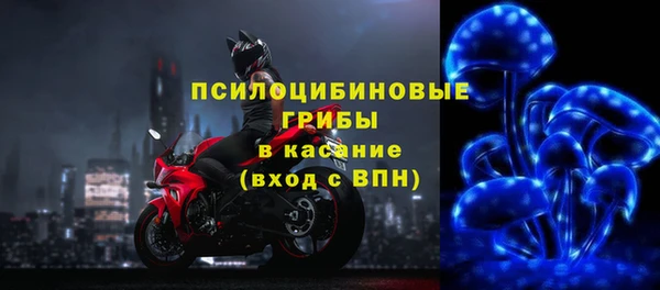 гашик Горнозаводск