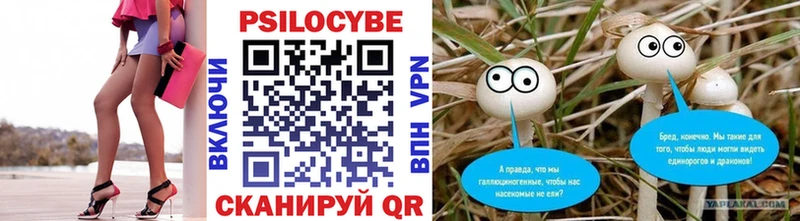Купить закладки  Красновишерск  Псилоцибиновые грибы Magic Shrooms 